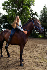 Obraz premium Portrait of cute girl in helmet horseback riding on brown horse
