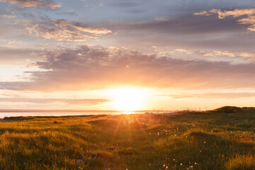Beautiful view of the field and sunset. Beautiful nature landscape with dramatic clouds sunset sky and views on the hills. Postcard view. Rural floral field on golden sunset. Summer background