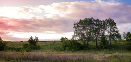 Purple sunset with beautiful clouds over a hilly area with trees. Summer background, landscape-panorama. Concept of wild nature beauty.