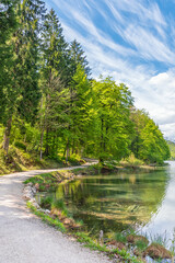 Scenic road along the lake shore Alpsee. Germany, Bavaria, Schwangau.
