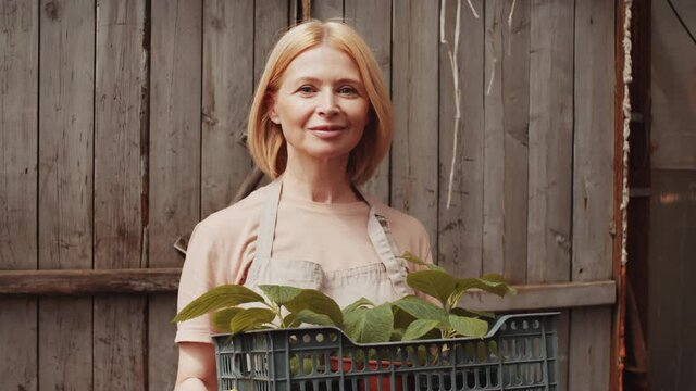 Waist up shot of positive mid-aged female farmer in apron and gloves holding crate filled with plants, looking at camera and smiling while standing against wooden wall in greenhouse