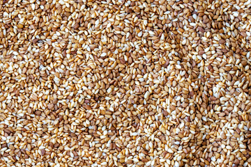 Roasted sesame close up