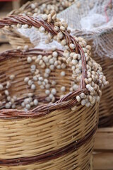 wicker basket with snails