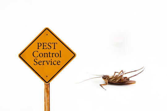 Dead cockroach on floor with caution sign pest control service