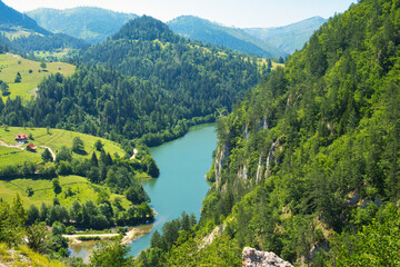 Fototapeta na wymiar Amazing aerial view of national park Tara, Zaovine and Perucac lake and canyon of Drina river in Serbia