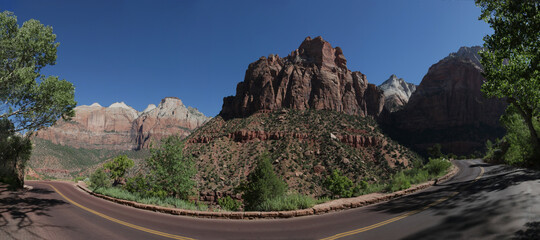 summer in Zion National Park,Utah,USA