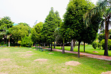 A picture of garden