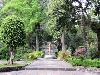 path in the park, Mexico city, San Angel