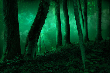 Smoke in mysterious dark green twilight forest. Mossy trees silhouettes in misty enchanted atmospheric woodland