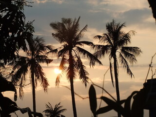 The last light of graduation 6