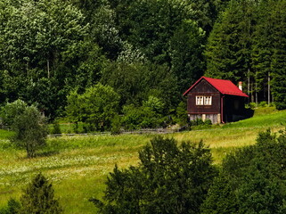 House on the hill, in the forest