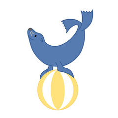 芸をするアシカ