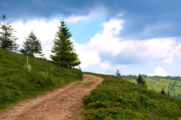 Fototapeta premium Scenic mountain road with amazing panoramic view of national park Kopaonik - famous ski resort in Serbia