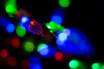 christmas lights on a dark background