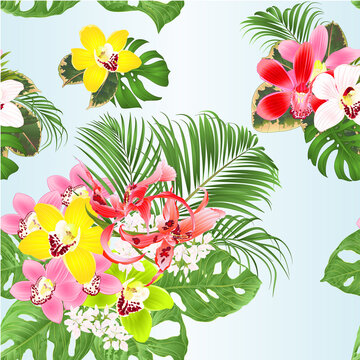 Seamless texture tropical Orchids red Dendrobium and Cymbidium green and   yellow and pink  flowers and Monstera and palm   vintage vector illustration editable hand draw