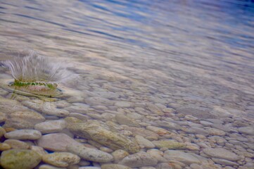 Splashes, ripples, circles made by a stone thrown into the sea.Splashing in the sea from a stone thrown into it. pebbles beach.Water drop, whirl and splash. Splashing on sea texture pattern background