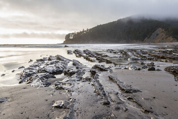 Rocky shore and Cape Sebastian