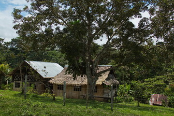 Wooden house in Puerto Narino at Amazonas river in Colombia
