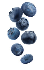 Many fresh ripe blueberries falling on white background