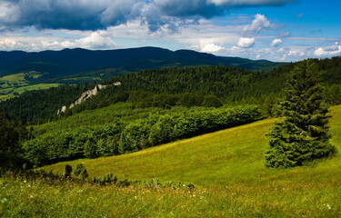 Mountain landscape in the summer. Pieniny National Park. Polish-Slovakian border