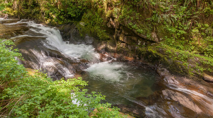 Fototapeta premium Sweet creek near Mapleton, Oregon.