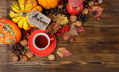 cozy autumn. pumpkins, apple, nuts and tea cup on wooden table. fall harvest season, thanksgiving holiday background.