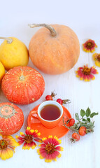 orange pumpkin, flowers and cup of tea on white wooden table. fall season.  