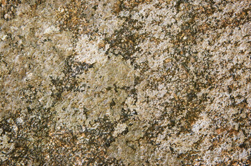 Stone background texture