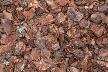 Cortex or wood chip background texture