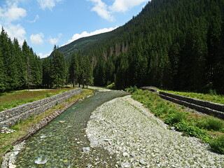 mountain landscape in the summer