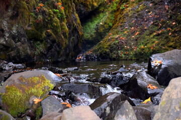 Pacific Northwest creek