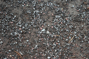 Texture HD de sol avec petits graviers et terre, idéale pour des arrière-plans ou des textures de fond d'écran en graphisme et design.