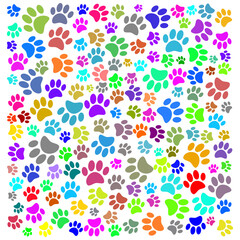 Colorful Dog Paw Pattern