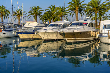 Yacht club in the morning. Mediterranean coast. Palm trees background