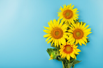 Obraz premium A bouquet of sunflower seed flowers on a blue background.