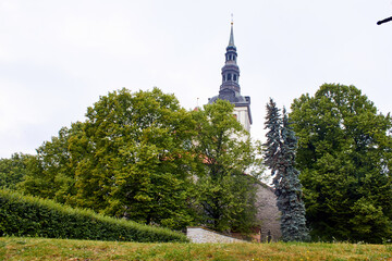 Obraz premium Church in the park in Tallinn