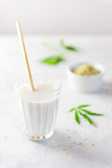 A glass of hemp milk with a bamboo tubule on a gray table. Healthy food, protein.