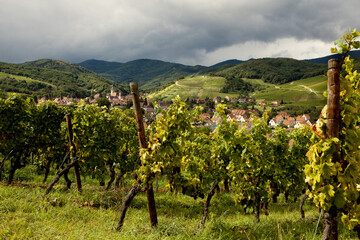 Fototapeta na wymiar Andlau wine village Alsace