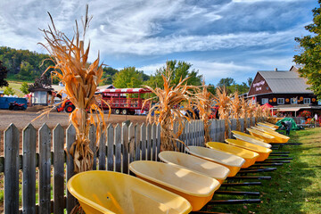 A farm market with sales of pumpkin in the Thanksgiving holiday.