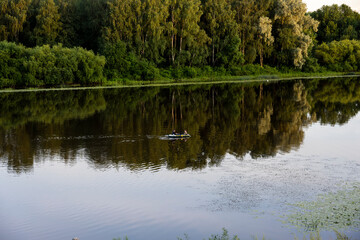 city forest and river at sunset