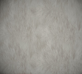 Fototapeta na wymiar white fur texture White Wool texture background