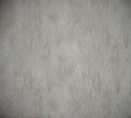 white fur texture 
White Wool texture background