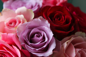 Close up on bouquet of colorful roses, selective focus