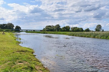 Rozkwit przyrody na rozlewiskach Biebrzy w Goniądzu. Biebrzański Park Narodowy 3 miesiące po pożarze © Albin Marciniak