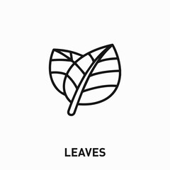 leaves icon vector. leaves sign symbol for your design	