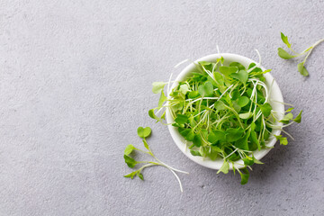 Micro herbs, watercress salad in white bowl. Grey background. Copy space. Top view.