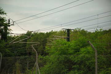bosque y vias de tren