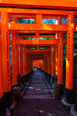 Red toriis in Fushimi near Kyoto (Japan)