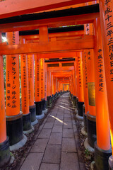 Red toriis in Fushimi near Kyoto (Japan)