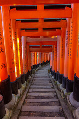 Red toriis in Fushimi near Kyoto (Japan)